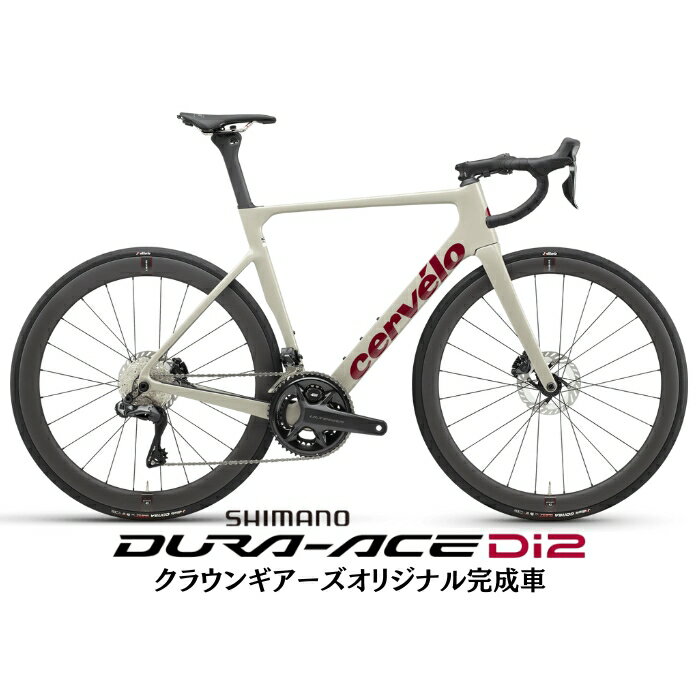 Cervelo (サーベロ) Soloist Dried Amaranth DURA-ACE R9270 ロードバイク