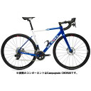 DE ROSA (デローザ) 838 Disk ブルー/ホワイト 52サイズ Campagnolo CHORUS ロードバイク