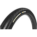 Panaracer(パナレーサー)GRAVELKING SK TLR 650Bx43 ブラック チューブレスレディタイヤ(4)