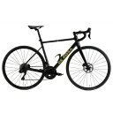 DE ROSA (デローザ) 838 Disk Stealth Mtt ステルスマット 46SL 105 Di2 12s ロードバイク