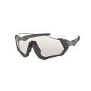 OAKLEY (オークリー) FLIGHT JACKET Scenic...(4)