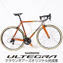 DE ROSA (デローザ) Titanio U-GO ORG ULTEGRA R8000 11S ロードバイク(4)