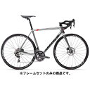 ARGON18 (アルゴン 18) GALLIUM CS DISC シルバー/グロスブラック サイズXS フレームセット【メーカー在庫あり】