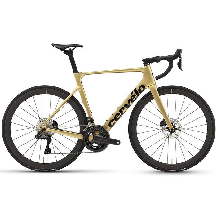 Cervelo (サーベロ) 2024 SOLOIST ULTEGRA R8170 DI2 Gold Dust サイズ48 ロードバイク【店頭受け取り限定】