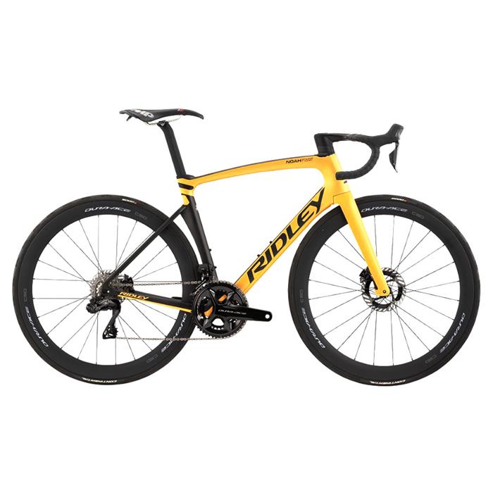 RIDLEY (h[) 2024 Noah Fast Disc Gold/Black TCYXXS t[Zbg