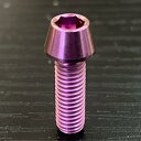 β TITANIUM(ベータチタニウム)チタンボルト 1本 テーパーキャップ 5×15 ローズピンク