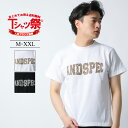 ASNADISPEC Tシャツ メンズ 半袖 ティーシャツ ヒョウ柄 アニマル柄 ロゴ トップス カットソー 大きいサイズ 2L 3L XL XXL ブランド アスナディスペック アメカジ ストリート おしゃれ かっこいい おすすめ 新作 人気 綿100 白 黒 ヘビーウェイト 厚手 /3045/