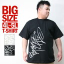 Tシャツ メンズ 大きいサイズ 4L 5L XXXL XXXXL 半袖 TEE ビッグサイズ ブランド ASNADISPEC アスナディスペック バックプリント ロゴ ティーシャツ 黒 白 アメカジ ストリート B系 ダンス おしゃれ かっこいい BIGサイズ オーバーサイズ 人気 夏 20代 30代 40代