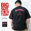 TVc Y 傫TCY 4L 5L XXXL XXXXL  TEE rbOTCY uh ASNADISPEC AXifBXybN obNvg S 100% wr[EFCg eB[Vc   AJW Xg[g Bn _X   I[o[TCY lC 