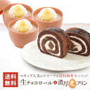 生チョコ ロールケーキ＆濃厚光プリンセット お試し お得 スイーツ ギフト インスタ映え チョコ お取り寄せスイーツ 洋菓子 お取り寄せグルメ 生クリーム 濃厚プリン プリン チョコレート 生チョコ 手土産 贈り物 プレゼント 送料無料 冷凍配送