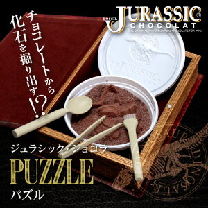 【ネット限定先行販売】最高級チョコレートを使った、割って!掘って!楽しむチョコレート★ジュラシックショコラ【パズル】(チョコレート)