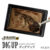 恐竜チョコ チョコレート クリスマス【恐竜】ジュラシックショコラ【ディグアップ】（高級 チョコレート）面白チョコ おもしろ チョコ【お子様へ】【お子様に人気♪】ベルギーチョコレート 面白い 化石 発掘 神戸 スイーツ お取り寄せ スイーツ 誕生日 プレゼント ギフト