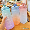 水筒 目盛り付き 水筒 2L ウォーターボトル 2リットル 携帯便利 漏れ防止 ストロー付き 子供 目盛り 大容量 軽量 直飲み 女の子 おしゃれ スポーツ か...