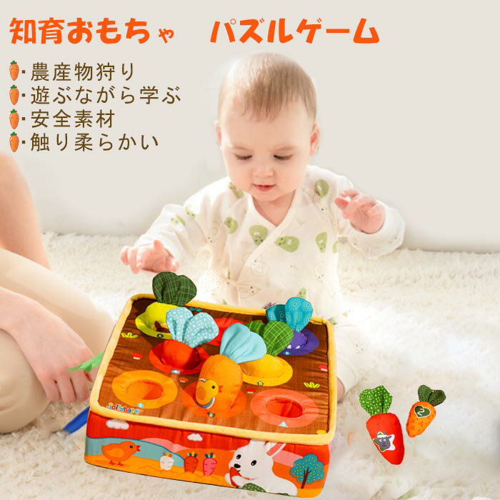 Amazon.co.jp: にんじん引っ張り玩具 3 in 1 ニンジン収穫形分類