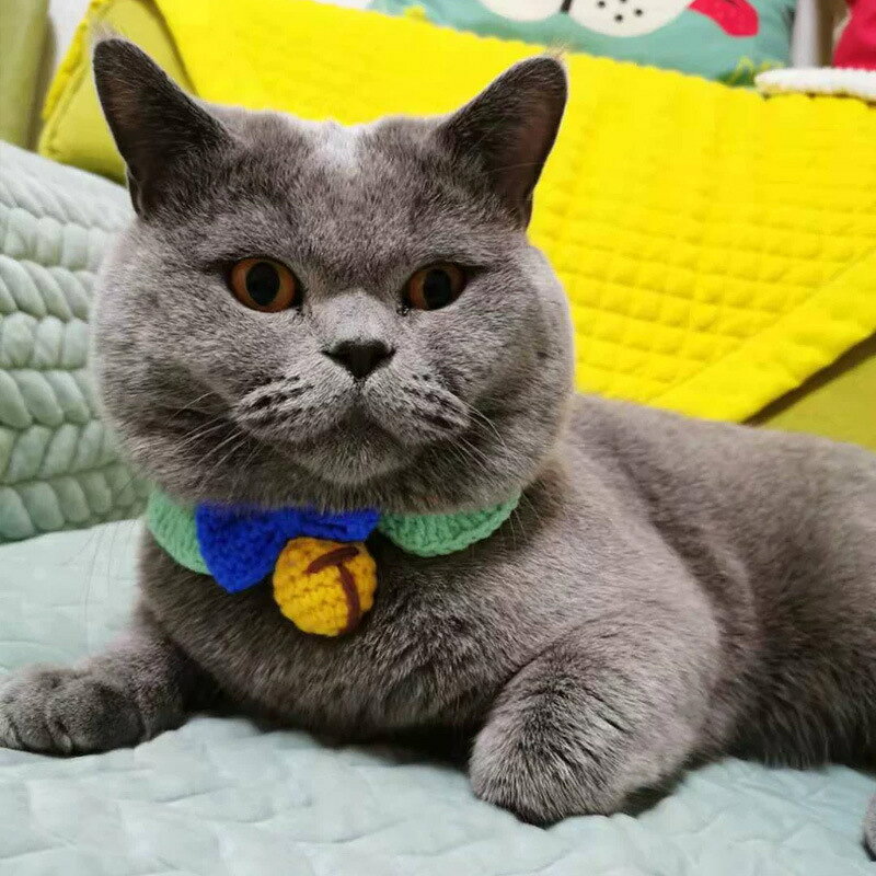 送料無料 ペットの服 首輪 手作り リボン ベ...の紹介画像3