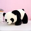 ̵ ̤ ѥ  panda  ƥꥢ  Ҷ  ưʪ ⤷ İ 襤  դդ 餫 Ϥ ץ쥼 80cm ʢФˤʤ ŷ