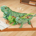【65cm】ぬいぐるみ トカゲ 大きい ビックリ おもしろ 雑貨 ホビー クッション フェイク ペット 誕生日 ギフト プレゼント 爬虫類 動物 アニマル リアル エキゾチックアニマル 楽天海外通販