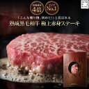 【旨味成分4倍・アジアNo.1デザイン】 黒毛和牛 熟成肉 極上 赤身 ステーキ ギフト 200g(100g×2枚) 400g(100g×4枚) 高級肉 イチボ 5000円 お父さん 誕生日 結婚祝い 内祝い 父の日 お中元 お歳暮 喜ばれる 贈り物 冷蔵保存 【特殊包装で冷蔵状態にて最長14日間保存】