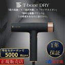 【正規販売店】【レビューで「ヘアオイル」プレゼント!】 T-bone DRY ティーボーンドライ ケアドライヤー 武田 TKD-OD 01 サロン専売品 業務用...