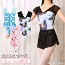 【フェアリーマリー】マーブル柄 レディース レオタード Swan Lake バレエ レオタード 大人リーナ フレンチスリーブ メッシュ マーブル プリント柄バレ...