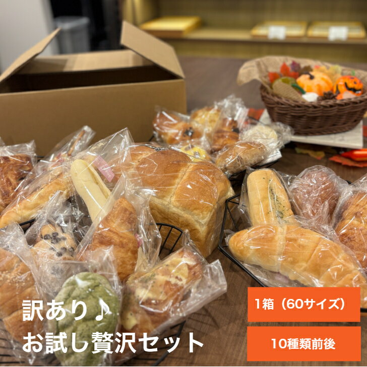 訳あり お試し贅沢セット パン おまかせパンセット 食パン 菓子パン 惣菜パン等 冷凍パン 詰め合わせ 福袋 フードロス ぱん 送料無料 冷凍食品 ロスパン ギ...