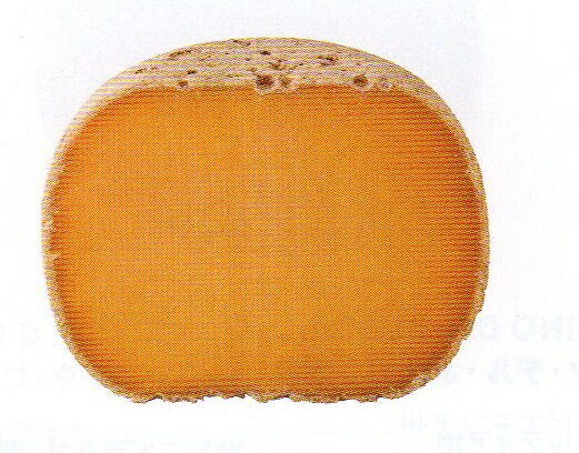 ミモレット22ヶ月熟成　AOCチーズ　約500g　量り売り商品　14580円/kg　フランス産