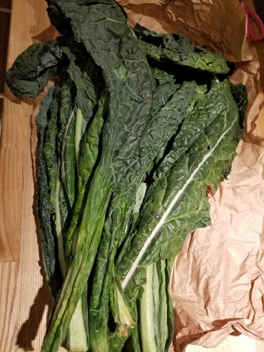 イタリア産 カーボロ・ネロ(黒キャベツ)約500g 2700円/500g 量り売り商品 イタリア産 カーボロ・ネロ(黒キャベツ)約500g 2700円/500g 量り売り商品