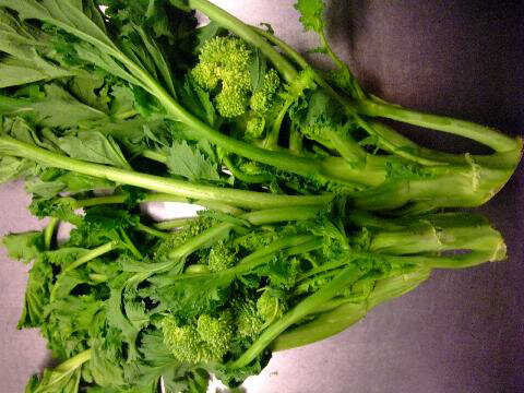 イタリア産 チーマ・ディ・ラパ(チーマ デ ラパ)約500g 2200円/500g 量り売り商品