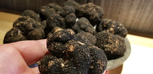 フランス・イタリア産フレッシュ サマー(夏)トリュフ約100G!!(最高級きのこです) フランス・イタリア産フレッシュ サマー(夏)トリュフ約100G!!(最高級きのこです)