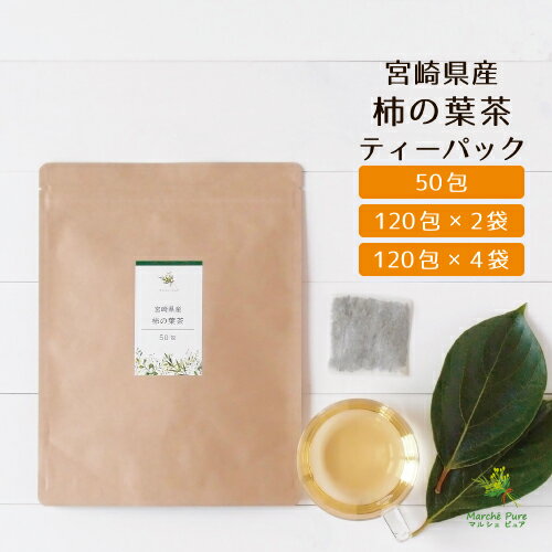 柿の葉茶 国産 ティーパック 2g×50包