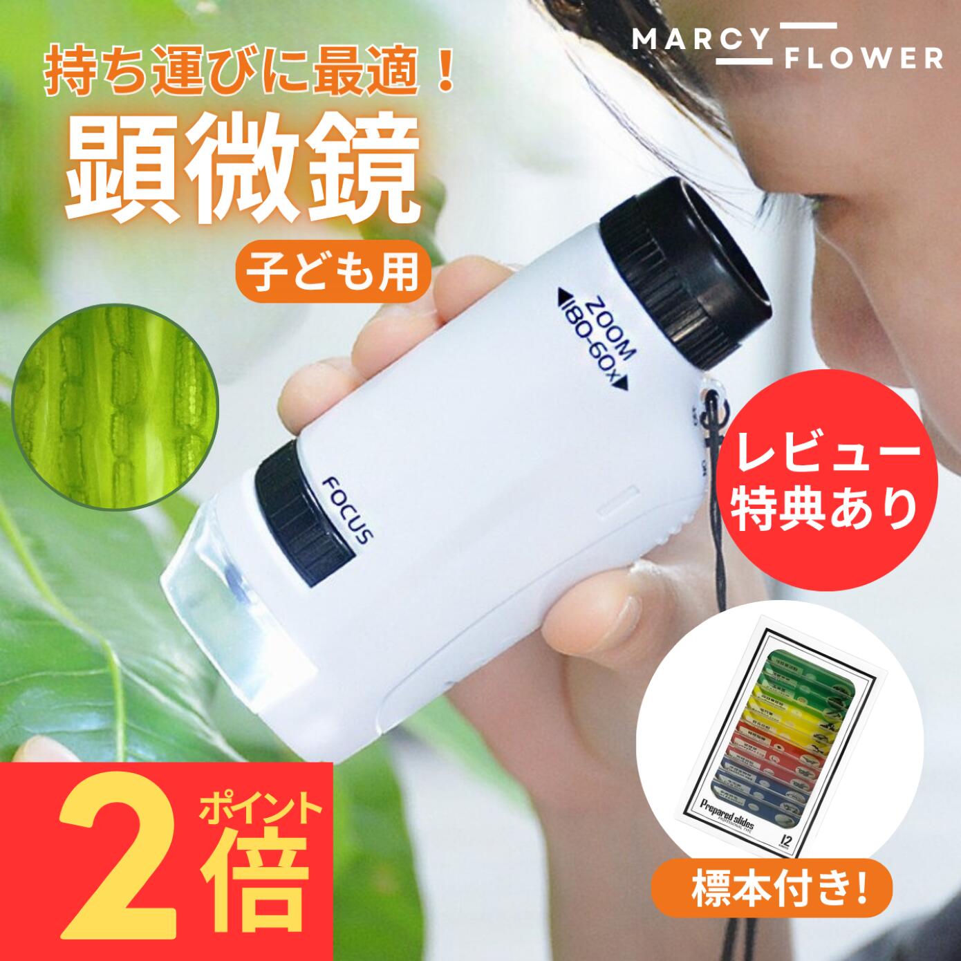 BFݥ2ܡɸդۻҤɤι񿴤ܤ̵۸ Ҷ  ǽ ϥǥ ޥ LED饤 ǥ...