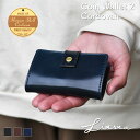 LITSTA リティスタ Coin Wallet2 コインウォレット2 ホーウィンコードバン HORWEEN SHELL CORDOVAN ミニ財布 コンパクトウォレット コインクリップ 小さい財布 極小財布 メンズ 紳士用 男性用 本革 牛革 イタリアンレザー プエブロ ドラーロ 日本製 送料無料