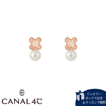 カナルヨンドシーCanal4℃カナ...