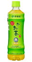 伊藤園　おーいお茶【600ml×24本】