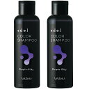 ルベル LebeL エドル カラーシャンプー PS(パープルシルキー) 150mL ×2【2個セット】
