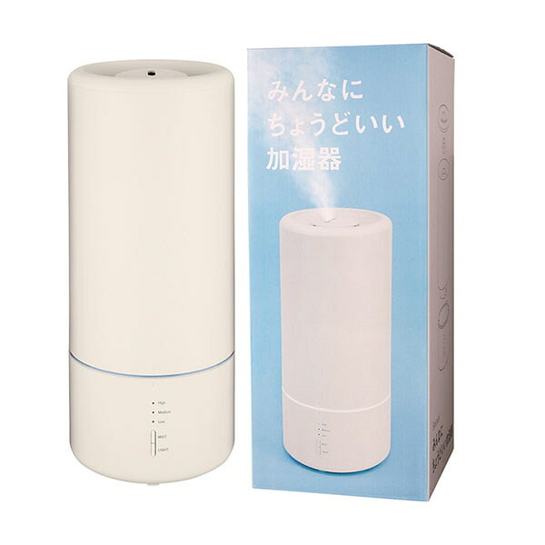 ビューウェル みんなにちょうどいい加湿器CB ウォームホワイト