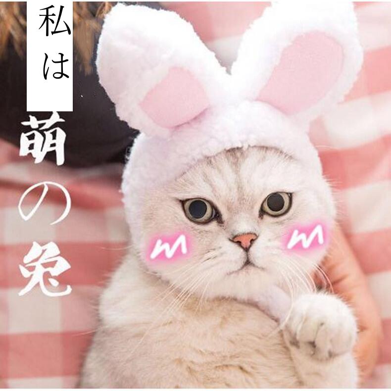 【1円！超得！早い者勝ち！】ペット用品 帽子 ペット 猫用変身ほっかむり うさぎ コスプレ かぶりもの 仮装 猫用 ペット用キャップ 仮装パーティー 被り物 ハロウィン 大変身