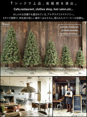 11月上旬入荷予約 クラシックタイプ スリム クリスマスツリー ツリー Alsace クラシックタイプ クリスマスツリー アルザス 高級 150cm ヌードツリー 樅 オーナメント なし ドイツトウヒツリー おしゃれ スリム クリスマス アルザスツリー Marie Anne クリスマスツリー 11月上旬入荷予約 クラシックタイプ スリム クリスマスツリー ツリー Alsace クラシックタイプ クリスマスツリー アルザス 高級 150cm ヌードツリー 樅 オーナメント なし ドイツトウヒツリー おしゃれ スリム クリスマス アルザスツリー Marie Anne クリスマスツリー