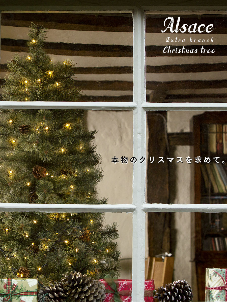 11月上旬入荷予約 クラシックタイプ スリム クリスマスツリー ツリー Alsace クラシックタイプ クリスマスツリー アルザス 高級 150cm ヌードツリー 樅 オーナメント なし ドイツトウヒツリー おしゃれ スリム クリスマス アルザスツリー Marie Anne クリスマスツリー