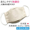 日本製 布マスク 大臣マスク 舟形 おしゃれ 天然素材 立体