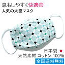 布マスク 日本製 夏用 大臣マスク おしゃれ 舟形 折り返し 洗える 大きめ 天然素材 立体マスク コットン ギフト 布 ★グリーンひし形幾何学模様 【Y321】【送料無料】【あす楽】