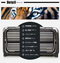 suitcase、carry-case、trolley-case、business-carry、soft-carry、carry-bag、hard-case、trunk-case、trunk-carry、attache-case、brief-case、bag、travel-case、travel-carry、soft-case、travel-bag、airport、busterminal、train-station、coin-locker、旅行箱