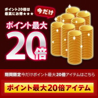 ポイント20倍
