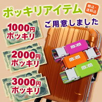 税込・送料込のポッキリアイテム特集