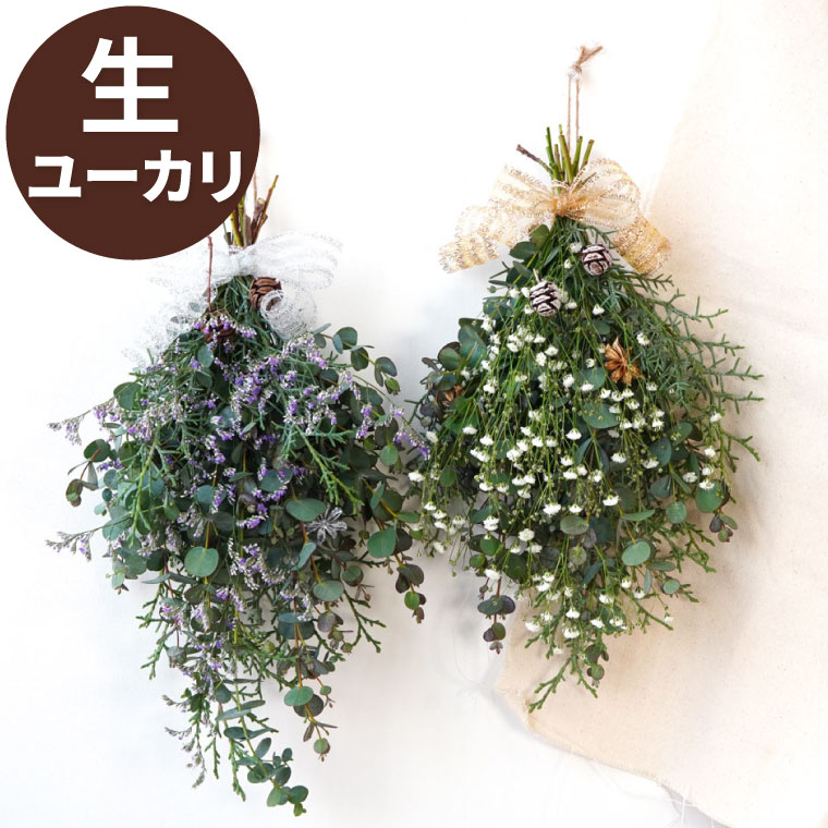 【あす楽16時まで】 ドライフラワー ブーケ 玄関 『 プチ ユーカリ スワッグ 』 小さい ミニ リース 年中 新築祝い プレゼント 友人 引っ越し祝い 誕生日プレゼント 女性 20代 30代 壁飾り インテリア 北欧 壁掛け おしゃれ かわいい 北欧雑貨 ドライ フラワー フレッシュ