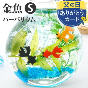 【あす楽16時まで】 玄関 インテリア 雑貨 おしゃれ 父の日 プレゼント 『 金魚 ハーバリウム S』 誕生日プレゼント 女友達 ギフト 20代 30代 母親 60代 女性 男性 おもしろ 子ども こども 誕生日 引っ越し祝い 新築祝い 友人 結婚記念日 妻 両親 置物 かわいい 夏ギフト