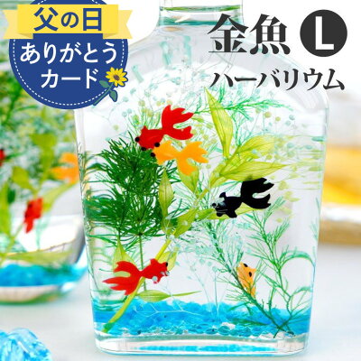 \100円OFFクーポン/ 玄関飾り 季節 旦那 おもしろ プレゼント 父の日 観葉植物 『 金魚 ハーバリウム L』 引っ越し祝い おしゃれ 玄関 インテリア 雑貨 置物 アクアリウム おもちゃ 誕...
