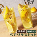 結婚祝い ペア レモンサワー グラス 名入れ 薄口 タンブラー 【 レモン絞り器 & マドラー 付き ペアグラス セット 】 レトロ 雑貨 カップル お揃い 誕...