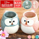 夫婦湯呑 名入れ プレゼント 湯呑み ペア 送料無料 最強配送 内祝 【 美濃焼 パステル ふくろう 湯のみ 夫婦ペア セット 】 ぺギフト 名前入り ギフト ...