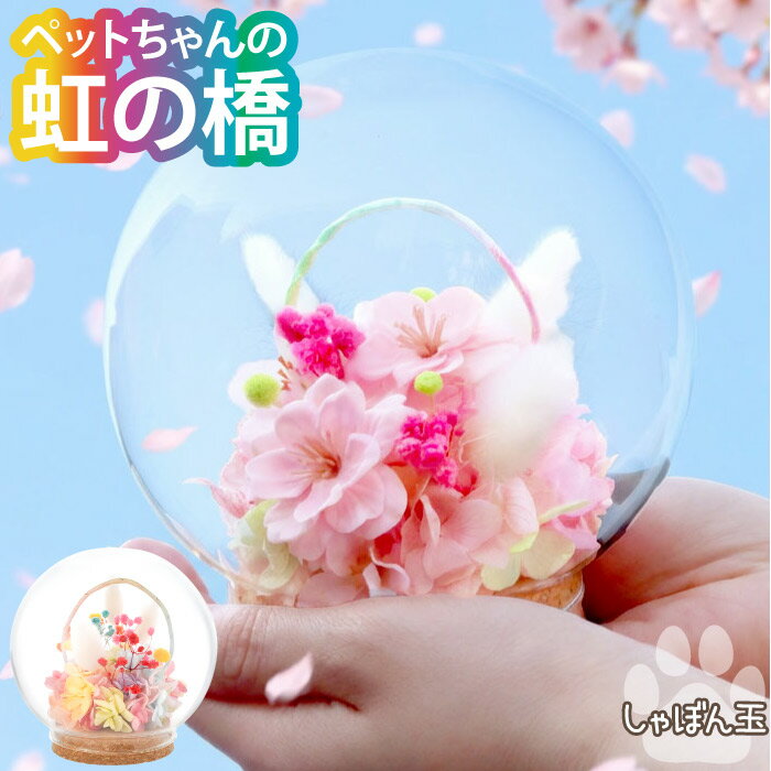 �����ջ���ġۤ���� ������ʪ ������ �������� �ڥå� �ץꥶ���֥ɥե� ʩ�� ���饹�ɡ��� �� ���ζ� ����ܤ�̡� �ɡ��� ����� ���� ������� ...